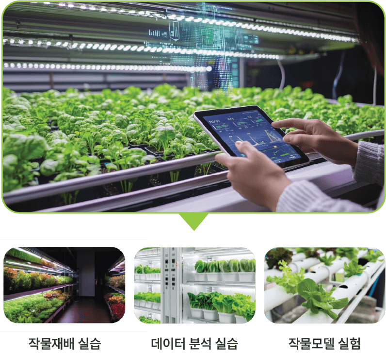 스마트팜 실습실
